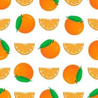 illustration på tema stora färgade sömlös orange vektor