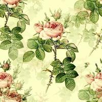 rosa ros blomma lövverk mönster vektor