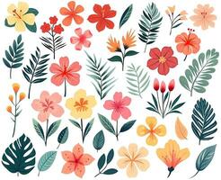 uppsättning av exotisk blommor och löv. tropisk vektor blommor. vattenfärg blommig illustration. tropisk samling