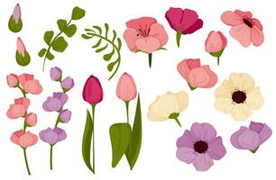 Frühling einstellen mit Blumen, hell bunt Blumen und Tulpen. geeignet zum Vorlagen, Aufkleber und Symbole. .Vektor Illustration. vektor