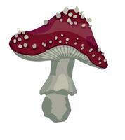 förgifta svamp amanita muscaria. flyga agaric, svamp ClipArt isolerat på vit. färgad vektor illustration i tecknad serie stil.