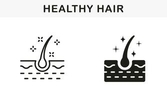 gesund Mensch Follikel scheinen Linie und Silhouette schwarz Symbol Satz. glänzend Haar Follikel Piktogramm. Haar glänzend mit Keratin bewirken Symbol Sammlung. isoliert Vektor Illustration.