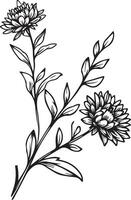 enda linje teckning av skönhet färsk aster för Hem vägg konst dekor. tryckbar affisch dekorativ svärd aster blomma begrepp. modern linje teckning aster blomma design vektor illustration