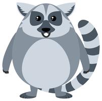 Söt lemur på vit bakgrund vektor