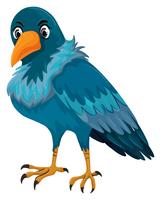Vogel mit blauer Feder vektor