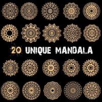 20 Luxus-Mandala-Set vektor