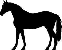 premie vektor häst logotyp design häst vektor