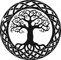 Gliederung Baum von Leben Lager Illustration - - herunterladen Bild jetzt - - Baum von Leben - - Konzept, Baum, keltisch Stil vektor