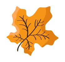 Orange Herbst Ahorn Blatt isoliert auf Weiß Hintergrund. einfach Karikatur eben Stil Vektor. Hand gezeichnet fallen Element zum Design Gruß Karte. das Erntedankfest Tag vektor