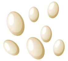 Loppor ägg vit bakgrund vektor