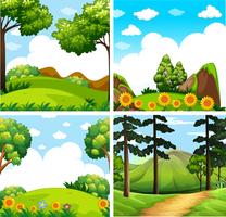 Vier Hintergrundszenen des Waldes vektor