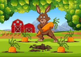 Kanin med morötter gårdsplan vektor