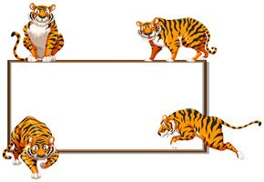 Grenzschablone mit vier wilden Tigern vektor