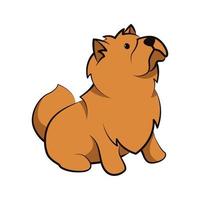 Chow-Chow-Hund niedliche Cartoon-flaches Design vektor