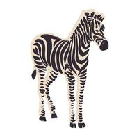 vektor zebra djur illustration grafisk resurs