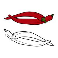 uppsättning av 2 chili peppar vektor bild hand dragen översikt och Färg teckning. mexikansk mat. klistermärke. ikon