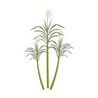 Zuckerrohr Pflanze Illustration Logo vektor