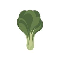 grön bok choy enkel illustration logotyp vektor