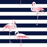 Flamingo auf Weiß und Blau Streifen vektor