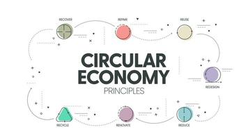 7r kreisförmig Wirtschaft Prinzipien Konzept zum wirtschaftlich Nachhaltigkeit von Produktion und Verbrauch hat 7 Schritte zu analysieren eine solche wie reduzieren, recyceln, genesen, Reparatur, Neugestaltung, Wiederverwendung und renovieren. Vektor. vektor