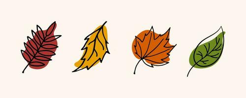 einstellen Herbst Blätter. farbig Herbst Blätter von Espe, Birke, Ahorn, Eberesche. Gekritzel Vektor Illustration.