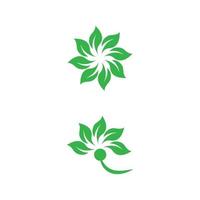 blatt logo vorlage vektor symbol natur