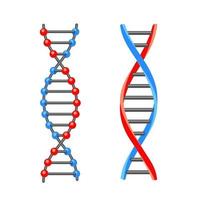 DNA-Molekül. Symbol. Vektor-Illustration auf weißem Hintergrund.