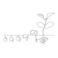 einer Linie Zeichnung Pflanze Wachstum wird bearbeitet Illustration vektor