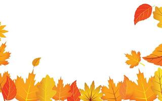 saisonal Herbst Hintergrund mit ein lange horizontal Rand zusammengesetzt von fallen golden, Rot, und Orange Blätter gegen ein isoliert Hintergrund. Hallo Herbst Vektor Illustration.