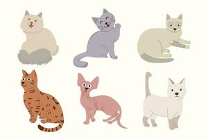 söt katt tecknad serie illustration uppsättning. uppsättning av rolig kattungar vektor