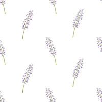 einfach Lavendel Blume nahtlos Muster Design, Hand gezeichnet Lavendel Hintergrund Vektor