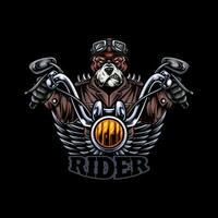 Bulldogge Biker mit ein Helm Illustration vektor