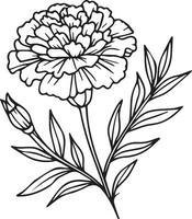 handgemalt Ringelblume Färbung Seiten, Vektor skizzieren, Bleistift Kunst Ringelblume Blume, Jahrgang Blumen- Design Wildblumen mit Färbung Buch zum Erwachsene, Blume Cluster Zeichnung, Entspannung Blume Zeichnung