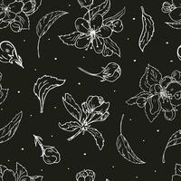 blommig sömlös mönster. vit körsbär blomma på svart bakgrund. hand dragen vektor mönster för textil, tapeter, skriva ut, omslag papper.
