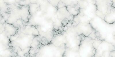 vit marmor bakgrund vektor