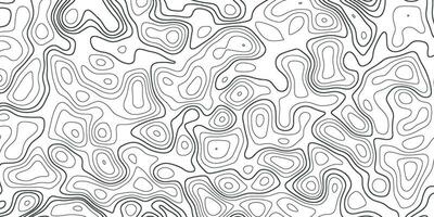 topografisch Hintergrund. grau und Weiß abstrakt Hintergrund mit wellig Linien. schwarz und Weiß Muster von Linien und Kurven. topografisch Topographie vektor