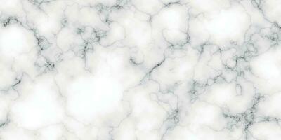 vit marmor textur bakgrund. svart och vit marmor texturerat. vit bakgrund marmor vägg textur. panorama- vit bakgrund. vit carrara marmor sten textur vektor