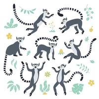 süße lustige Katta und tropische Pflanzen. exotische lemur catta. vektor