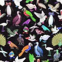 sömlös mönster vattenfärg fåglar samling vektor