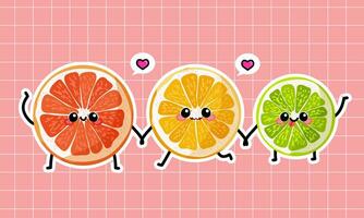 citrus- frukt skiva illustration vektor