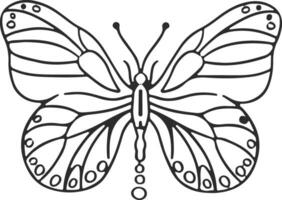 dünn linear Schmetterling einfarbig Illustration vektor