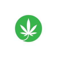 Cannabis Blatt Vektor Symbol Illustration Design