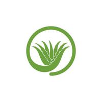 aloevera logotyp ikon vektor illustration design