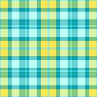 Textur Hintergrund Tartan von Muster Vektor nahtlos mit ein Stoff Plaid prüfen Textil.