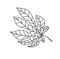 handgezeichnetes Herbstkastanienblatt im Doodle-Stil vektor