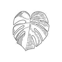 hand dragen barn teckning tecknad serie vektor illustration swiss ost växt blad isolerat på vit bakgrund