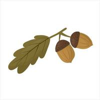 Herbst Zweig Eiche Blatt und Eicheln. Vektor Illustration.