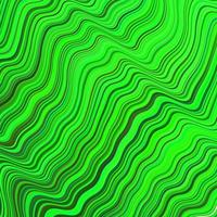hellgrünes Vektorlayout mit gebogenen Linien. vektor