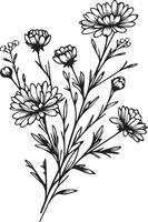 vektor skiss av aster blommor. vektor illustration av en skön blomma med en bukett av kamomill blommor och löv. årgång blommig vektor illustration, detaljerad blomma färg sidor tryckbar