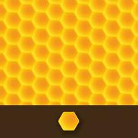 Bienenwabe Hintergrund 01 vektor